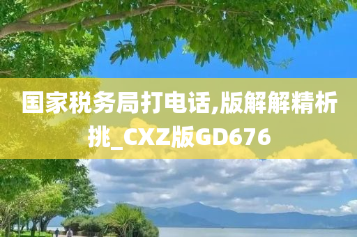 国家税务局打电话,版解解精析挑_CXZ版GD676