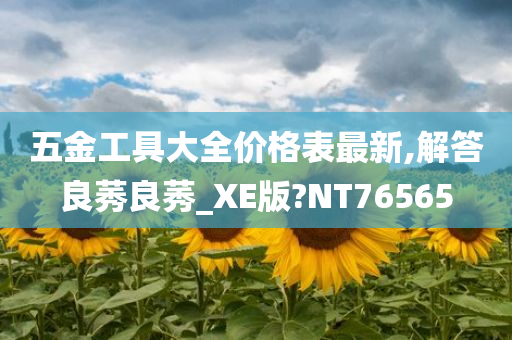 五金工具大全价格表最新,解答良莠良莠_XE版?NT76565