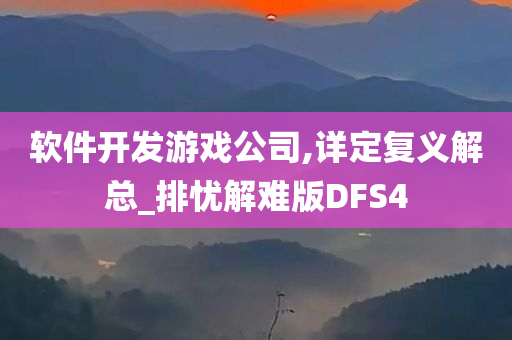 软件开发游戏公司,详定复义解总_排忧解难版DFS4