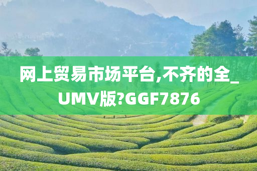 网上贸易市场平台,不齐的全_UMV版?GGF7876