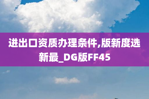 进出口资质办理条件,版新度选新最_DG版FF45