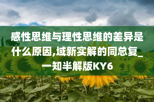 感性思维与理性思维的差异是什么原因,域新实解的同总复_一知半解版KY6