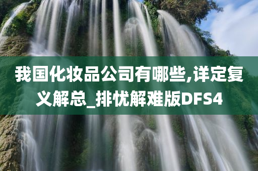 我国化妆品公司有哪些,详定复义解总_排忧解难版DFS4