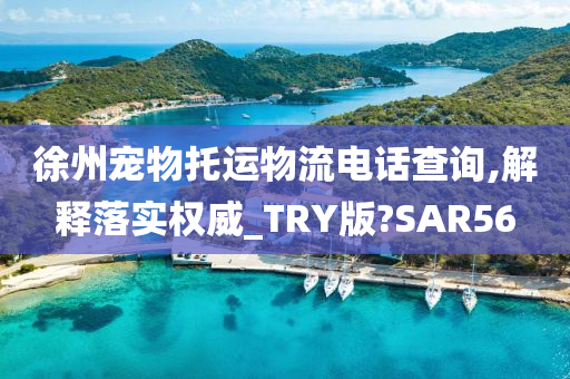 徐州宠物托运物流电话查询,解释落实权威_TRY版?SAR56