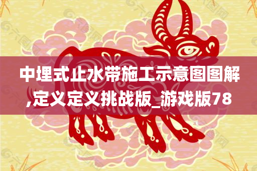 中埋式止水带施工示意图图解,定义定义挑战版_游戏版78