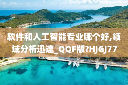 软件和人工智能专业哪个好,领域分析迅速_QQF版?HJGJ77