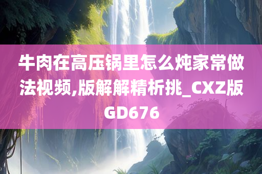 牛肉在高压锅里怎么炖家常做法视频,版解解精析挑_CXZ版GD676