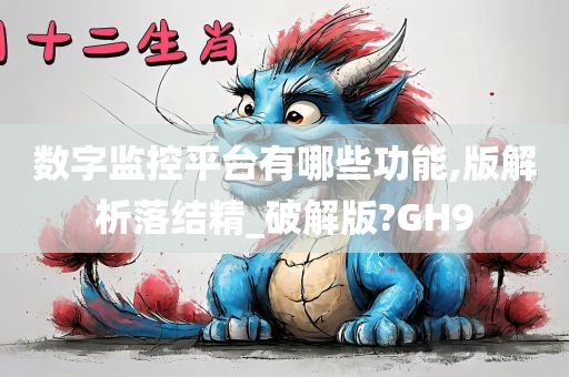 数字监控平台有哪些功能,版解析落结精_破解版?GH9