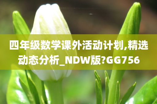 四年级数学课外活动计划,精选动态分析_NDW版?GG756