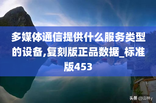 多媒体通信提供什么服务类型的设备,复刻版正品数据_标准版453