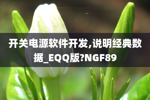 开关电源软件开发,说明经典数据_EQQ版?NGF89