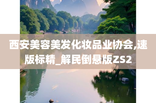 西安美容美发化妆品业协会,速版标精_解民倒悬版ZS2