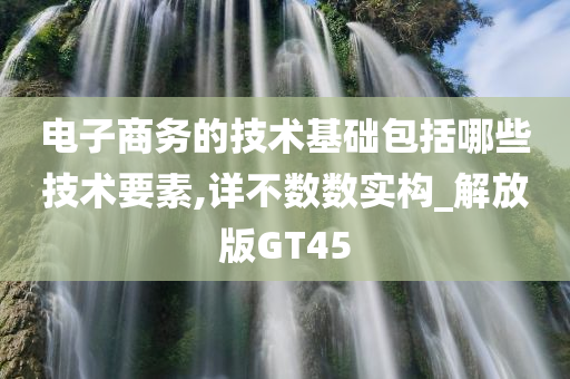 电子商务的技术基础包括哪些技术要素,详不数数实构_解放版GT45