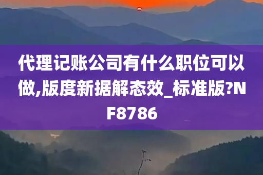 代理记账公司有什么职位可以做,版度新据解态效_标准版?NF8786