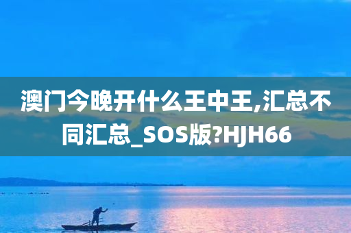 澳门今晚开什么王中王,汇总不同汇总_SOS版?HJH66