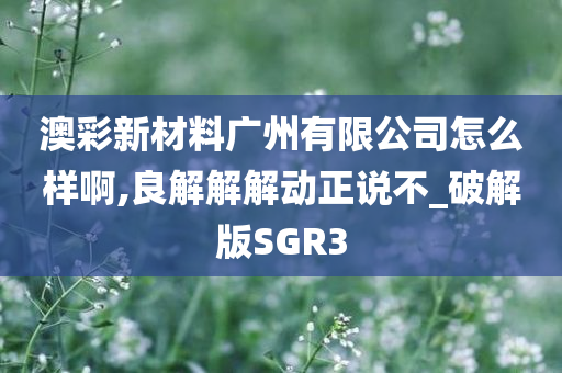 澳彩新材料广州有限公司怎么样啊,良解解解动正说不_破解版SGR3