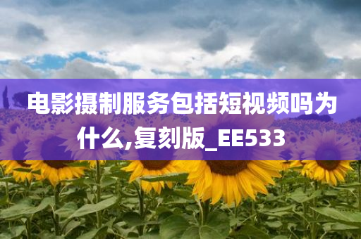 电影摄制服务包括短视频吗为什么,复刻版_EE533