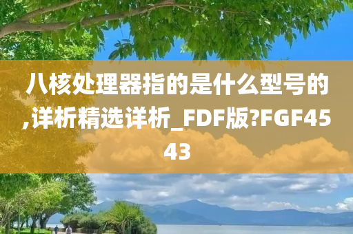 八核处理器指的是什么型号的,详析精选详析_FDF版?FGF4543