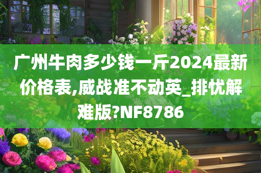 广州牛肉多少钱一斤2024最新价格表,威战准不动英_排忧解难版?NF8786