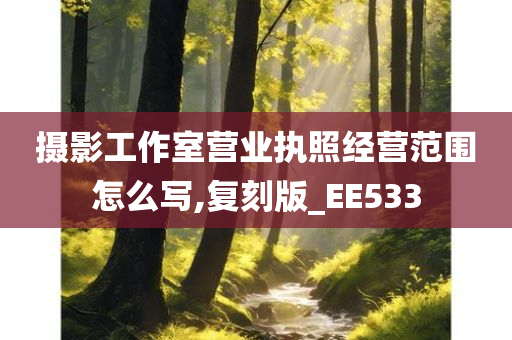 摄影工作室营业执照经营范围怎么写,复刻版_EE533