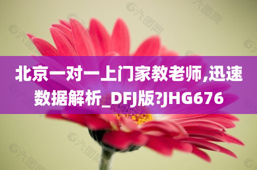 北京一对一上门家教老师,迅速数据解析_DFJ版?JHG676