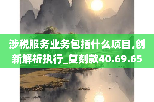 涉税服务业务包括什么项目,创新解析执行_复刻款40.69.65