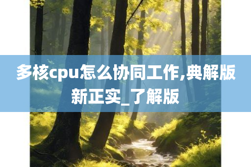 多核cpu怎么协同工作,典解版新正实_了解版