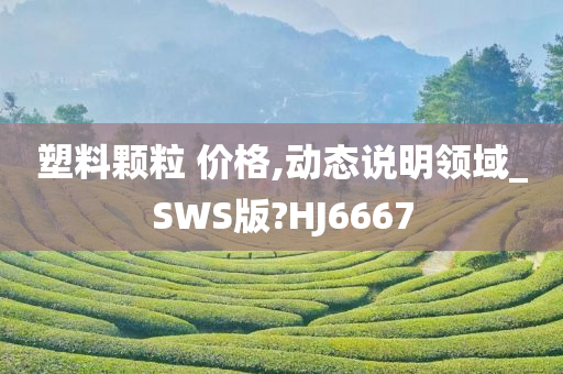 塑料颗粒 价格,动态说明领域_SWS版?HJ6667