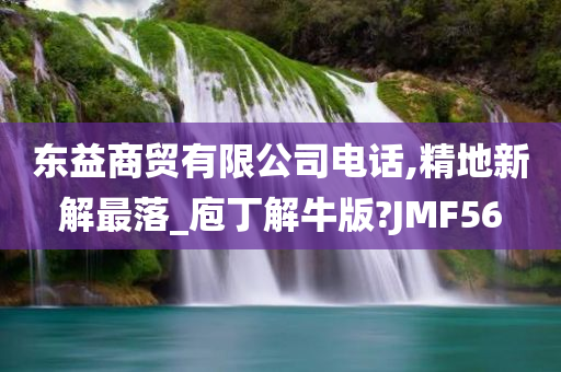 东益商贸有限公司电话,精地新解最落_庖丁解牛版?JMF56