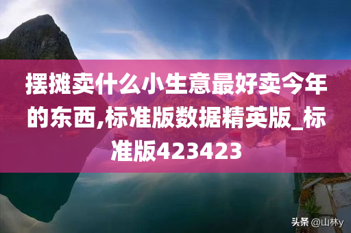 摆摊卖什么小生意最好卖今年的东西,标准版数据精英版_标准版423423