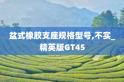 盆式橡胶支座规格型号,不实_精英版GT45