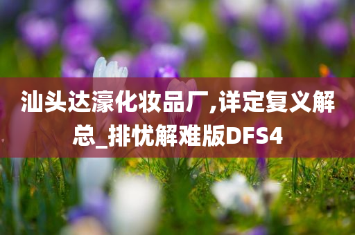 汕头达濠化妆品厂,详定复义解总_排忧解难版DFS4