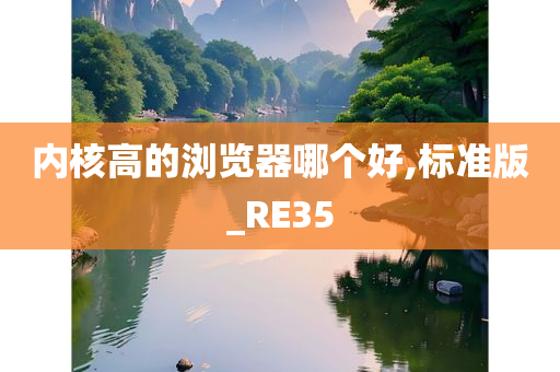 内核高的浏览器哪个好,标准版_RE35