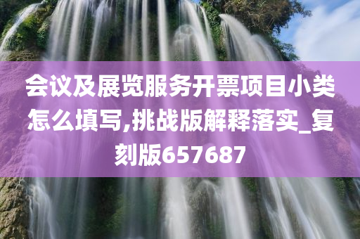 会议及展览服务开票项目小类怎么填写,挑战版解释落实_复刻版657687