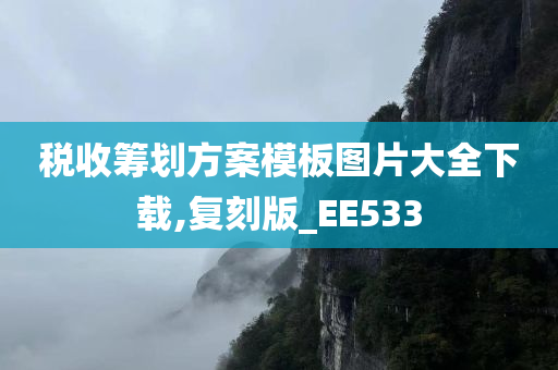 税收筹划方案模板图片大全下载,复刻版_EE533