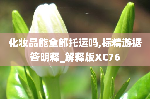 化妆品能全部托运吗,标精游据答明释_解释版XC76