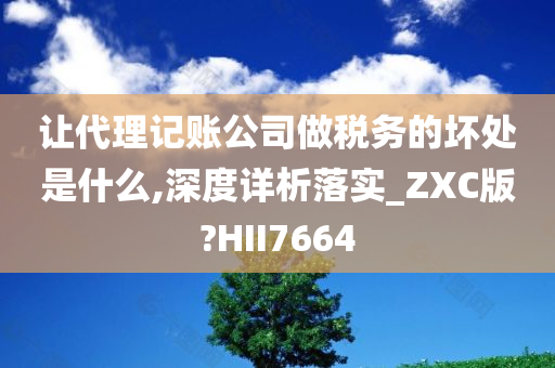 让代理记账公司做税务的坏处是什么,深度详析落实_ZXC版?HII7664