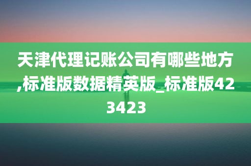 天津代理记账公司有哪些地方,标准版数据精英版_标准版423423