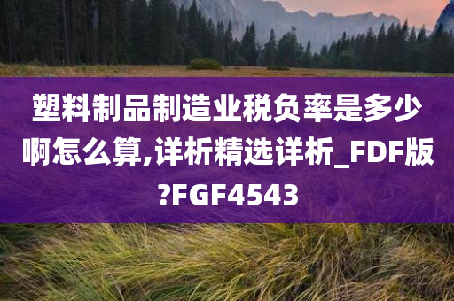 塑料制品制造业税负率是多少啊怎么算,详析精选详析_FDF版?FGF4543