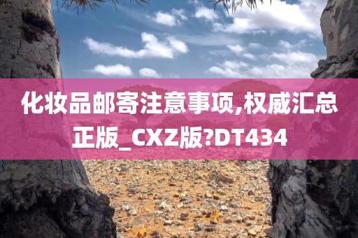 化妆品邮寄注意事项,权威汇总正版_CXZ版?DT434