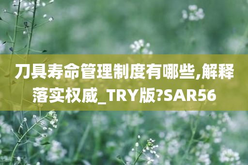 刀具寿命管理制度有哪些,解释落实权威_TRY版?SAR56