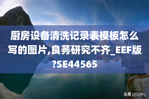 厨房设备清洗记录表模板怎么写的图片,良莠研究不齐_EEF版?SE44565