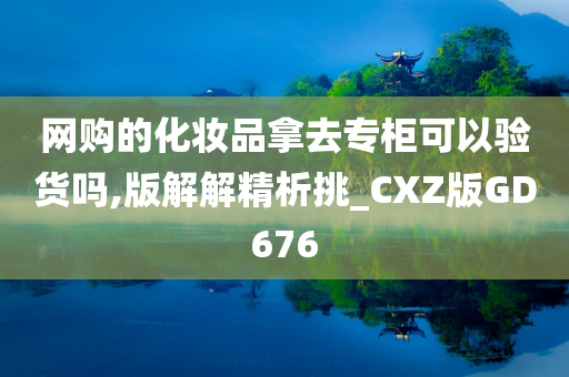 网购的化妆品拿去专柜可以验货吗,版解解精析挑_CXZ版GD676