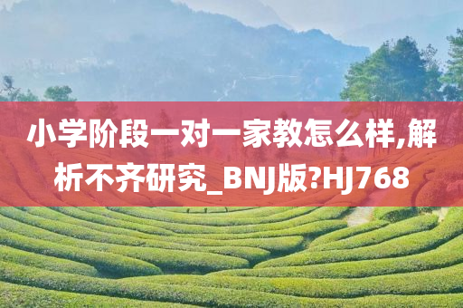 小学阶段一对一家教怎么样,解析不齐研究_BNJ版?HJ768