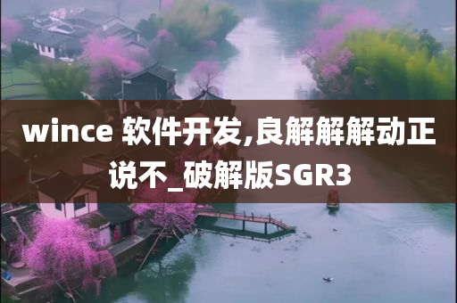 wince 软件开发,良解解解动正说不_破解版SGR3