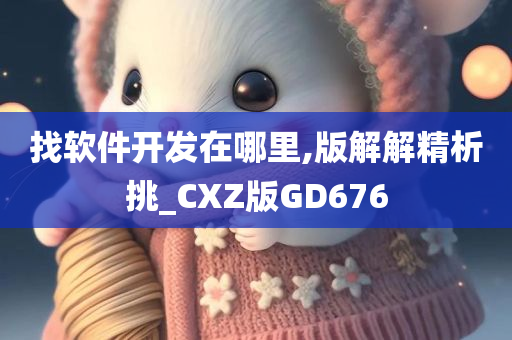 找软件开发在哪里,版解解精析挑_CXZ版GD676