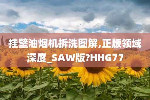 挂壁油烟机拆洗图解,正版领域深度_SAW版?HHG77