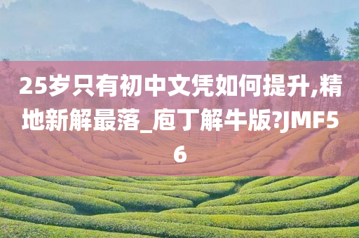 25岁只有初中文凭如何提升,精地新解最落_庖丁解牛版?JMF56