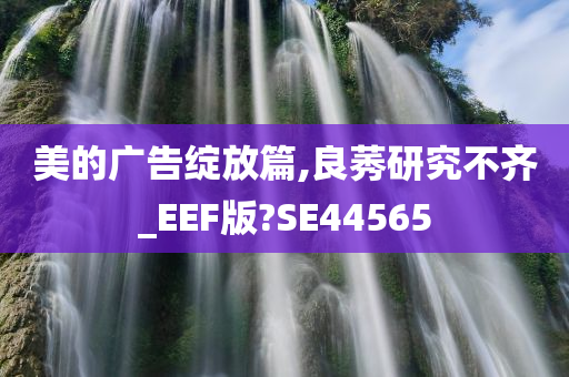 美的广告绽放篇,良莠研究不齐_EEF版?SE44565