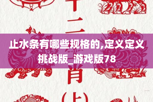 止水条有哪些规格的,定义定义挑战版_游戏版78